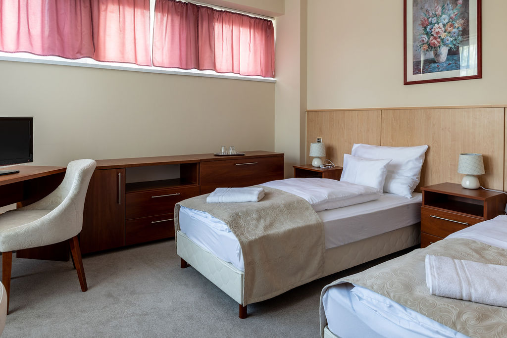 D Hotel Gyula